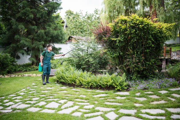 Best Wildlife Control Services  in Wilson, OK