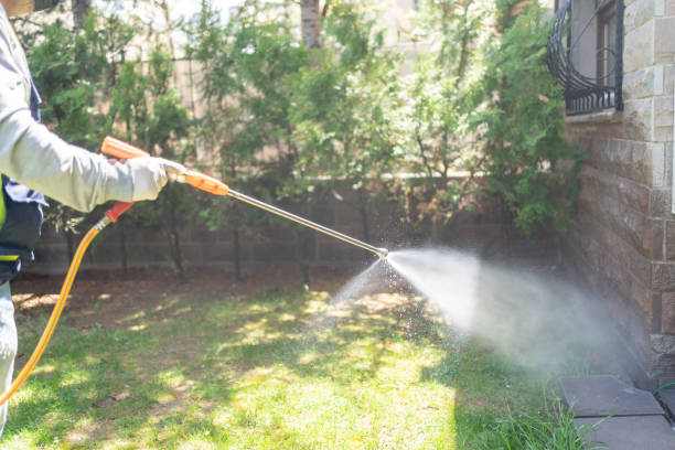 Flea Control Services in Wilson, OK
