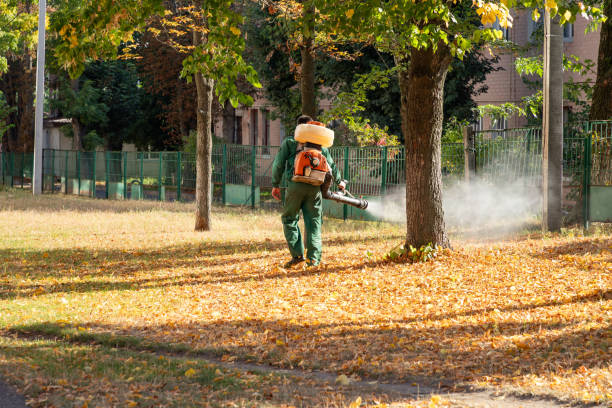 Best Affordable Pest Control Services  in Wilson, OK