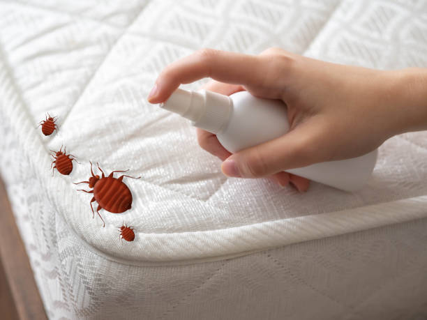 Best Residential Pest Control  in Wilson, OK