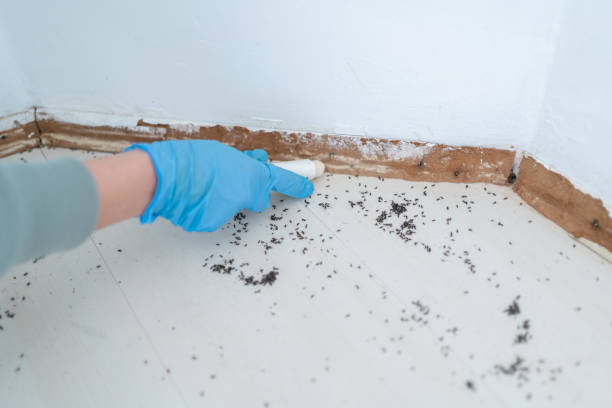 Best Commercial Pest Control Services  in Wilson, OK