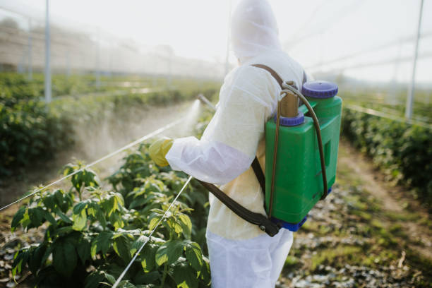 Best Best Pest Control Companies  in Wilson, OK